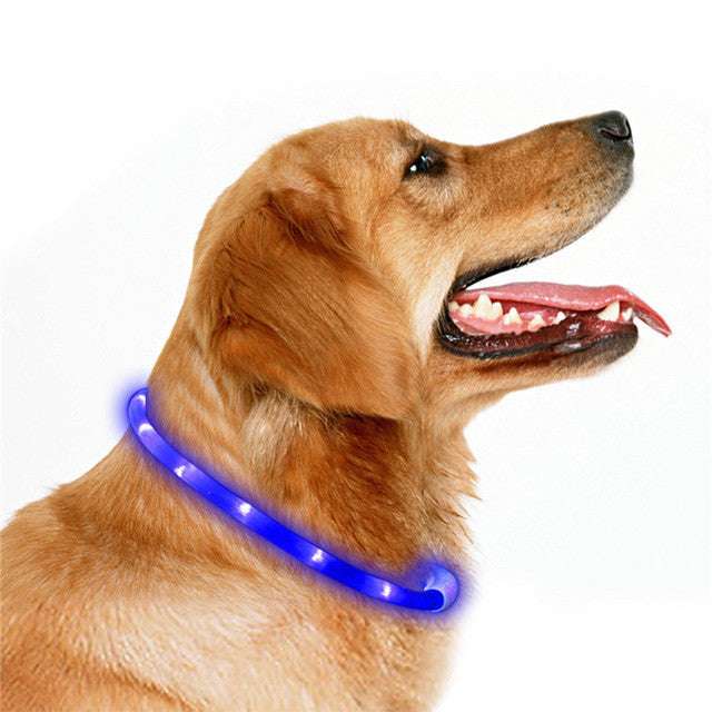 Luminous USB Rechargeabl  LED Pet Dog Cat Collar Night Safty Collar 3 Mode Flashing Glow In The Dark 70cm / 27.5" Pet Supplies