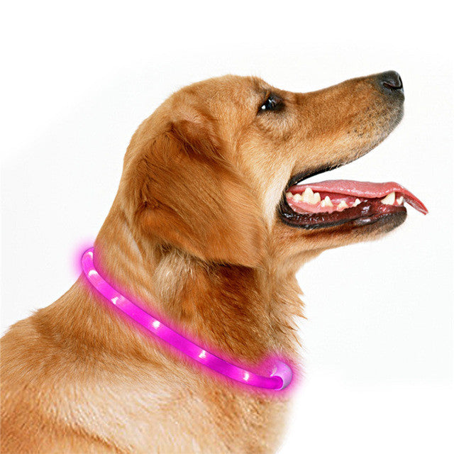 Luminous USB Rechargeabl  LED Pet Dog Cat Collar Night Safty Collar 3 Mode Flashing Glow In The Dark 70cm / 27.5" Pet Supplies