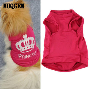 Dog Clothes For Small Dogs chihuahua